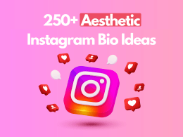 aethetic-instagram-bio-example-thumb